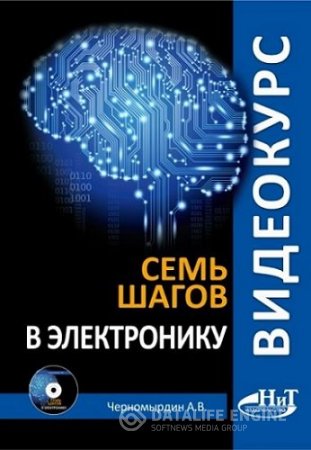 А.В. Черномырдин. Семь шагов в электронику