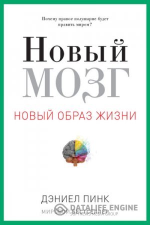 Дэниел Пинк. Новый мозг. Новый образ жизни (2006) RTF,FB2