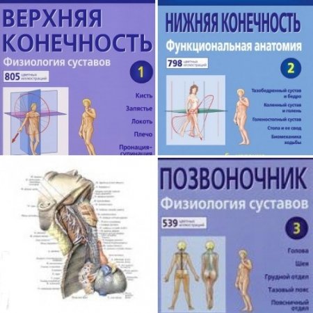 А.И. Капанджи. Функциональная анатомия. Том 1-3 (2009) PDF