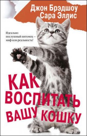 Как воспитать вашу кошку