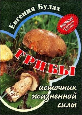 Грибы - источник жизненной силы