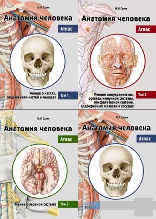 Анатомия человека. Атлас. Том 1-3