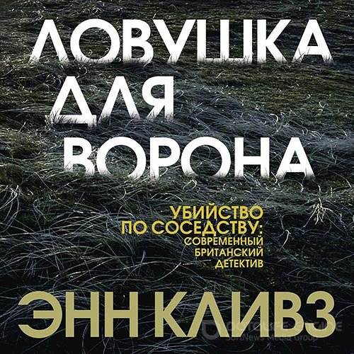 Кливз Энн. Ловушка для ворона (2020) Аудиокнига