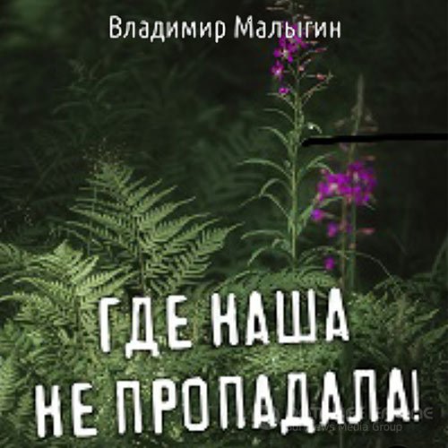 Малыгин Владимир. Где наша не пропадала! (2022) Аудиокнига